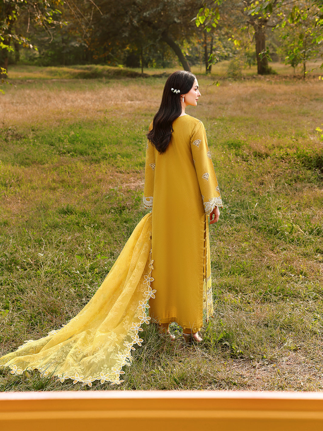 SAFFRON ( AL-1138 )